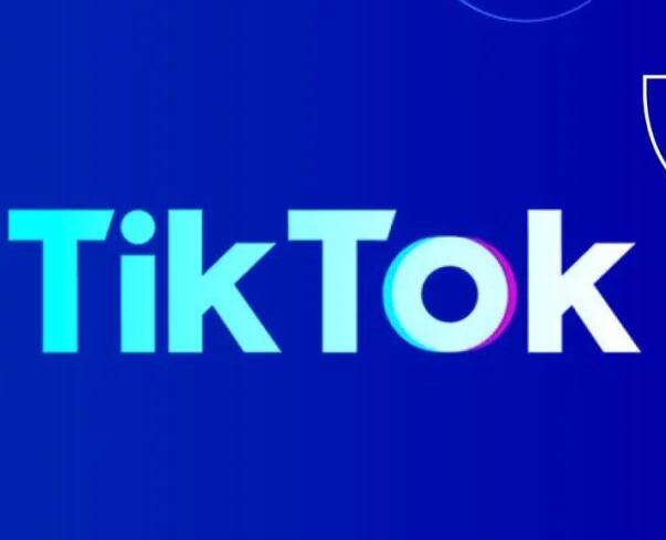 Google&Tiktok外贸营销效劳